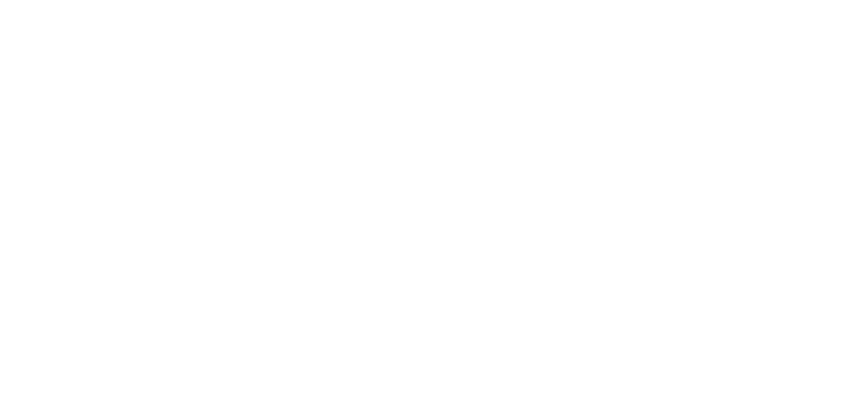NYX Logo